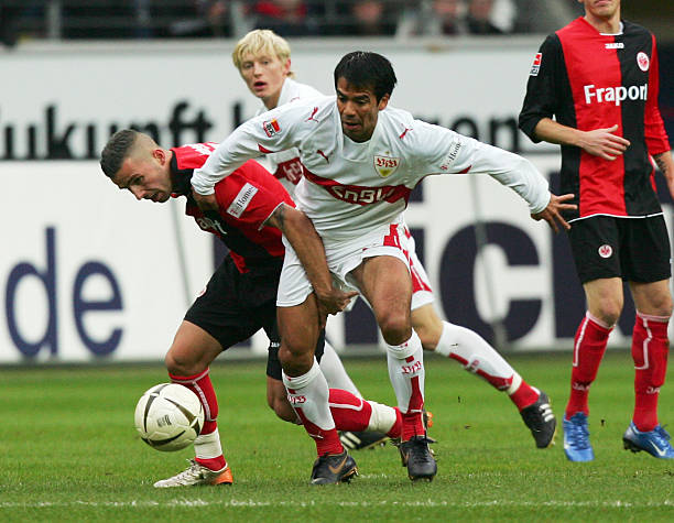 缺乏统一的 缺乏统一的